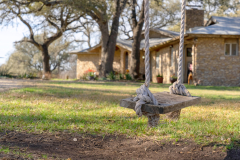 rocky-overlook-tree-swing-scaled
