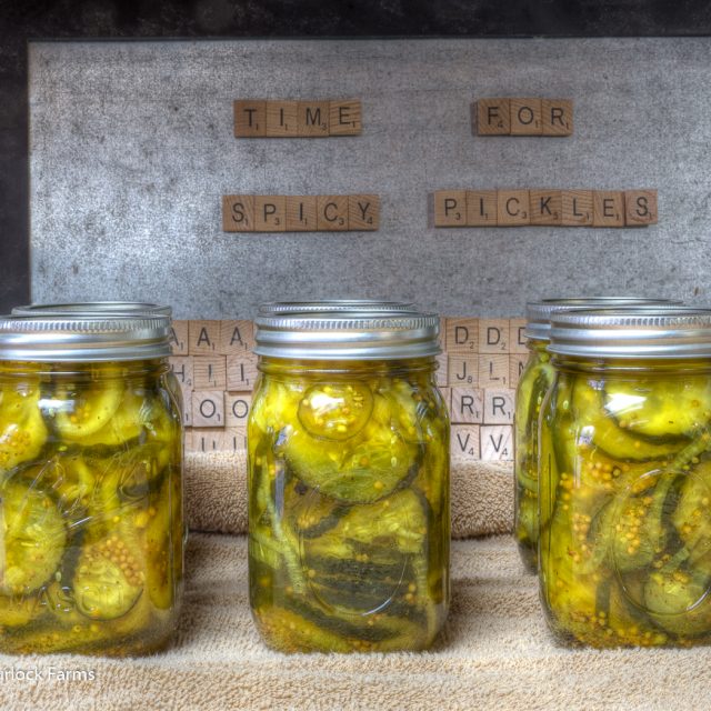 Spicy Pickles Cover 2