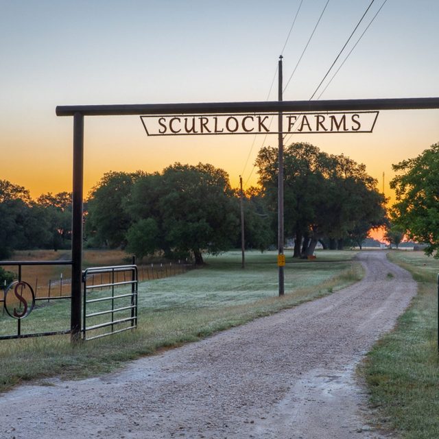 Entrance gate at Scurlock Farms