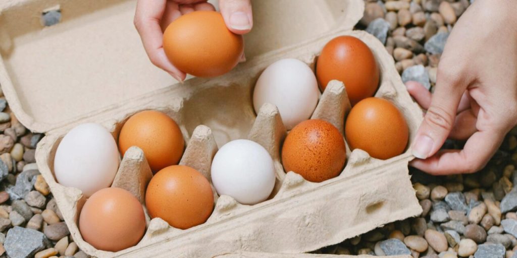 Nothing better than fresh free-range eggs!