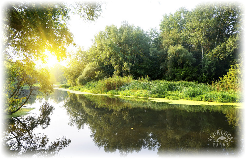 The San Gabriel River at Scurlock Farms