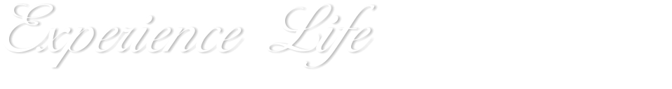 Experience Life