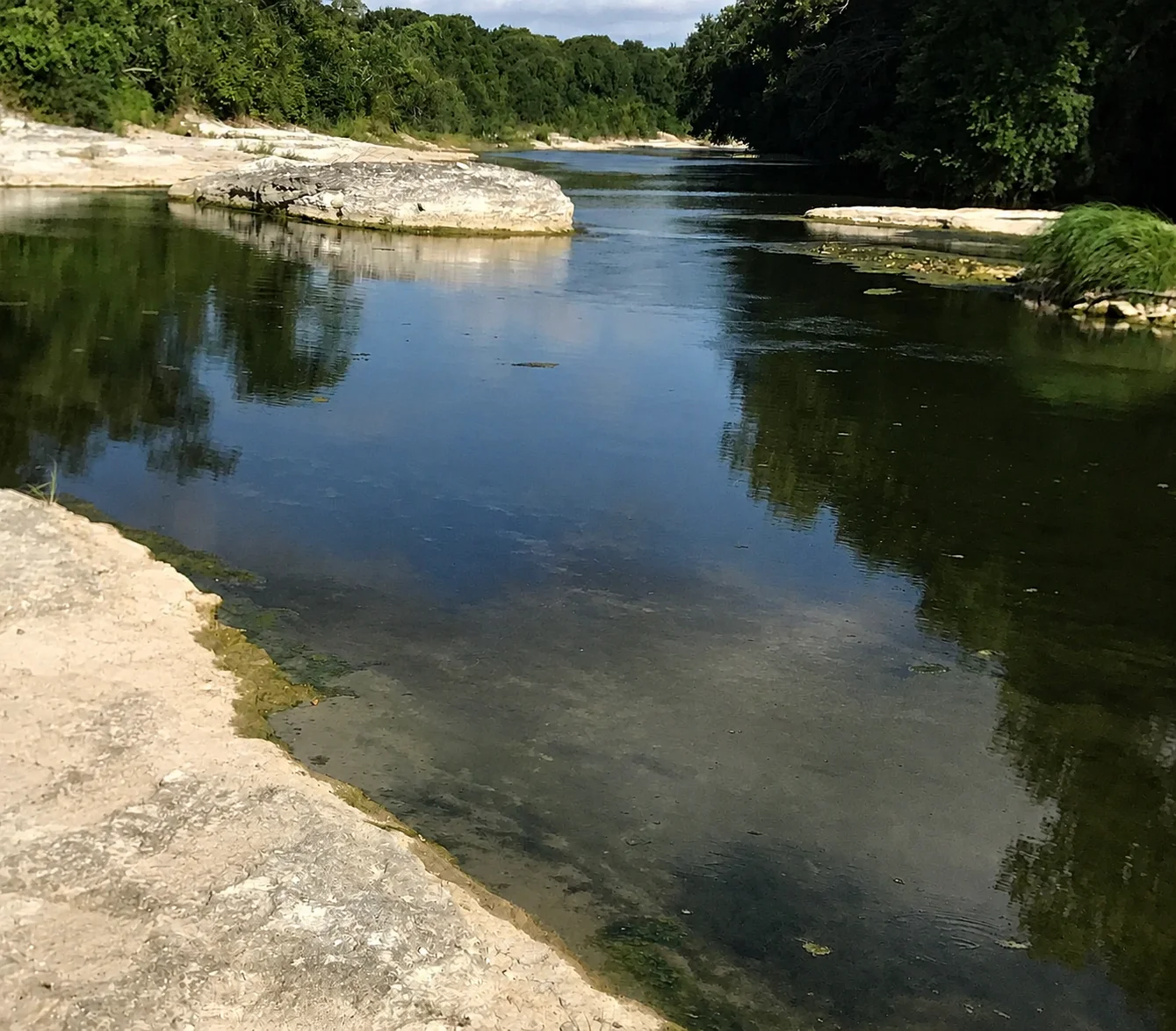 Limestone riverbank with calm water and forest canopy at Georgetown TX farm stay near San Gabriel River