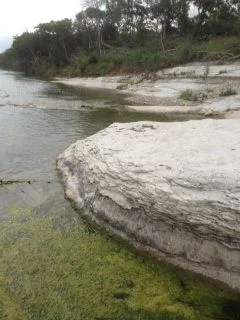 Limestone cliffs and river view from Georgetown TX farm stay cottage at Scurlock Farms